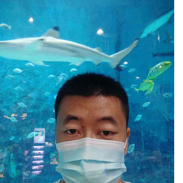 河北34岁单身帅哥真诚找对象-中卫征婚相亲网