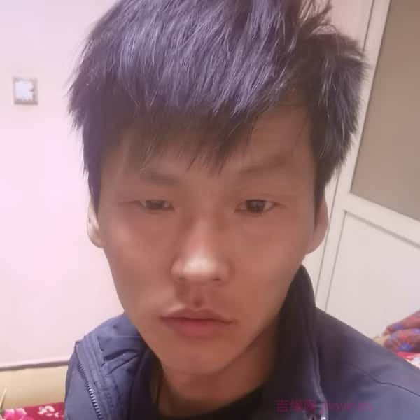 中卫征婚网